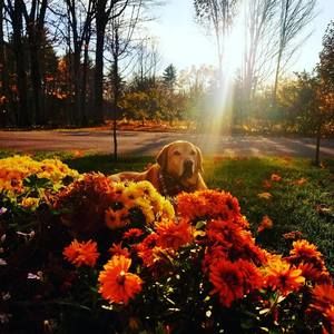 Meet your Posher, Denise